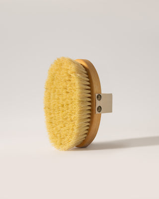 The Vegan Dry Brush