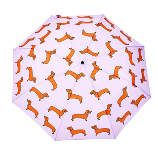 Coucou Suzette x ODH - Compact Regenschirm mit Dackelmotiv